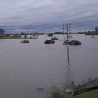 Dinga City Flood Pictures